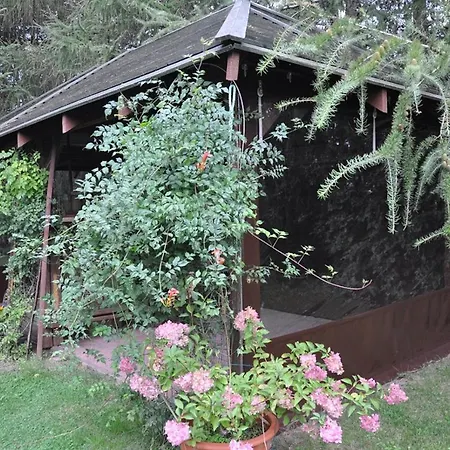 Homestay Dom Goscinny Soluch